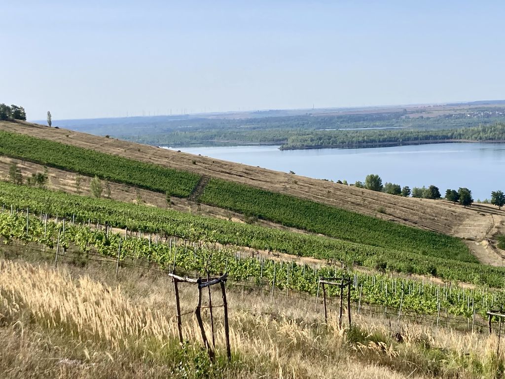 Weinhang